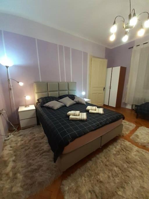 Apartman Forza Fiume Рієка Екстер'єр фото